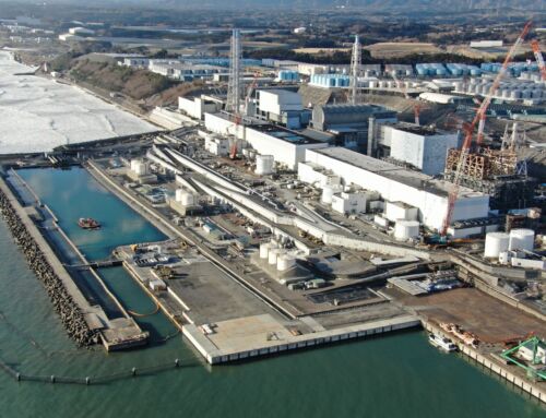 16-meter Reinforced Earth® seawall built to protect nuclear power plant in Japan